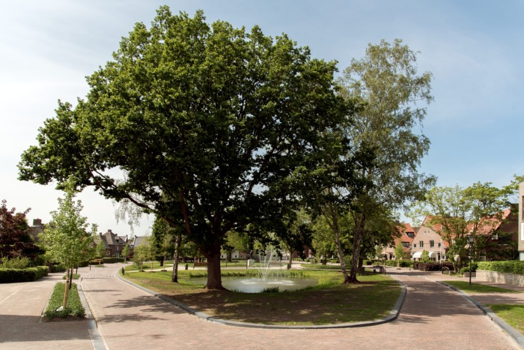Metamorfose Van Reenenpark