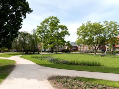 Metamorfose Van Reenenpark